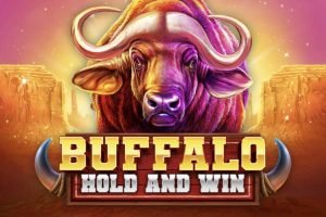Buffalo Hold and Win Spielautomat bei Billybets Casino